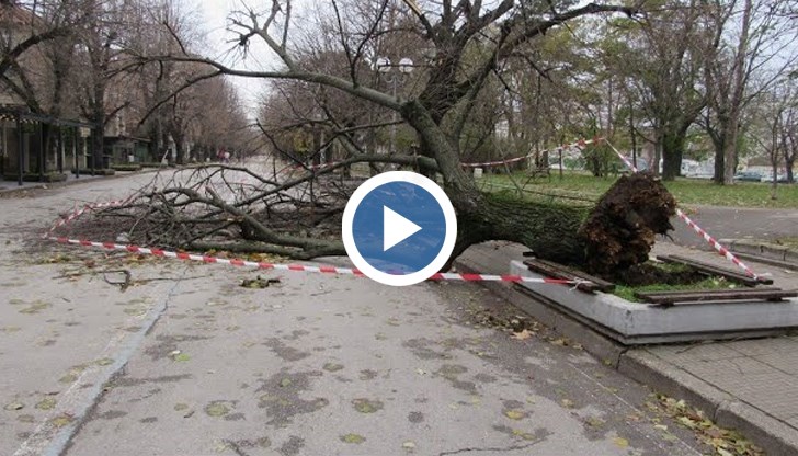 Инцидентът е станал през нощта на улица "Александровска"