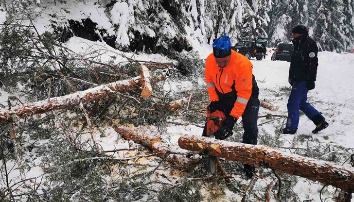 Затворен е пътят към Шилигарника заради паднали дървета