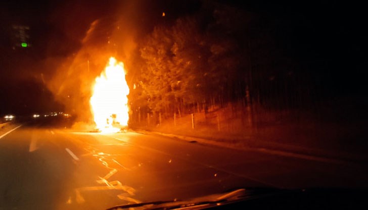 За шест месеца са регистрирани осем подобни случая в област Видин