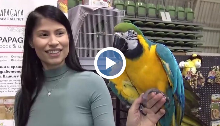 Папагали, влечуги и паяци са само част от атракциите на Exotic Expo Plovdiv