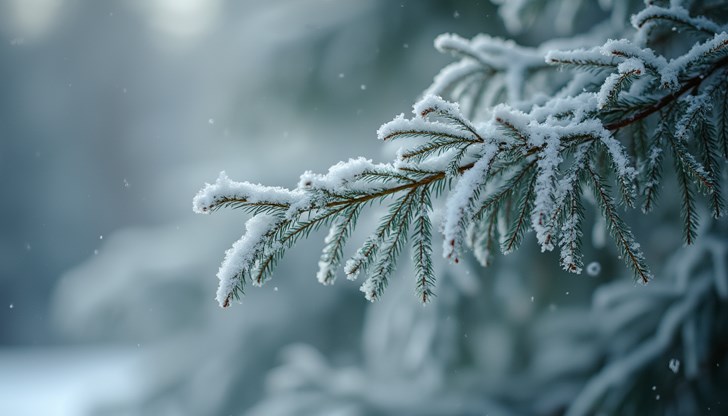 Средиземноморски циклон може да донесе сняг за празниците Средиземноморски циклон може да донесе сняг за празниците