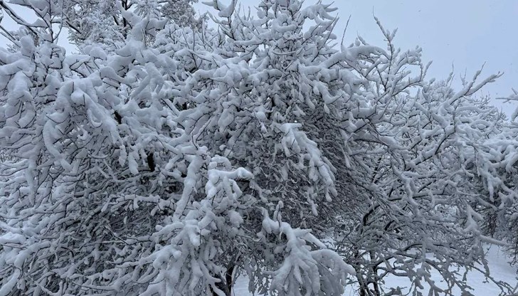 130 снегорина са в готовност да чистят София