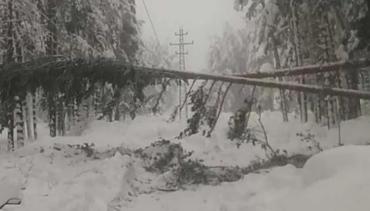 Кметът на Троян настоява за спешна държавна намеса