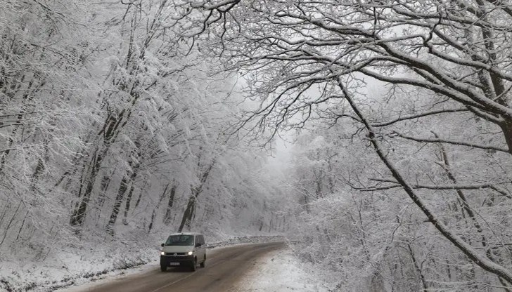 Както по пътя към Златните мостове, така и към хижа "Алеко" разчистването е приключило Както по пътя към Златните мостове, така и към хижа "Алеко" разчистването е приключило