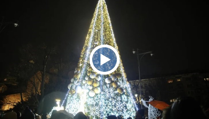 Празничното дърво се извисява на височина от 15 метра