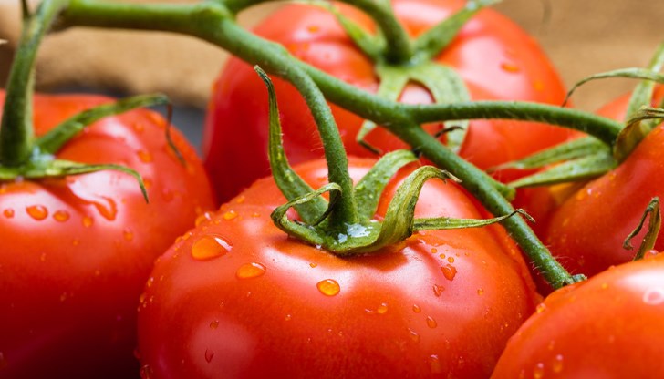 Генетичен пробив връща истинския вкус на доматите Генетичен пробив връща истинския вкус на доматите