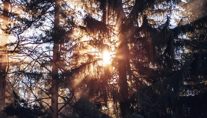 Живакът ще достигне над 15 градуса