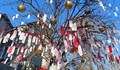 Дърво на желанията набира популярност в Букурещ