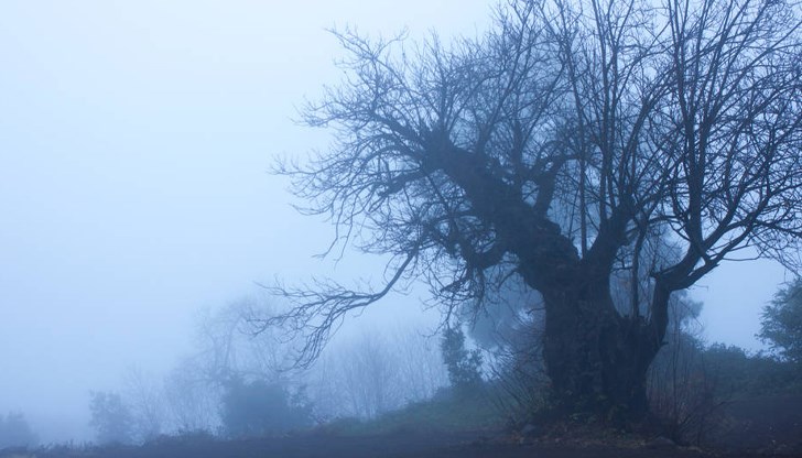 Температурите падат до нулата в региона Температурите падат до нулата в региона