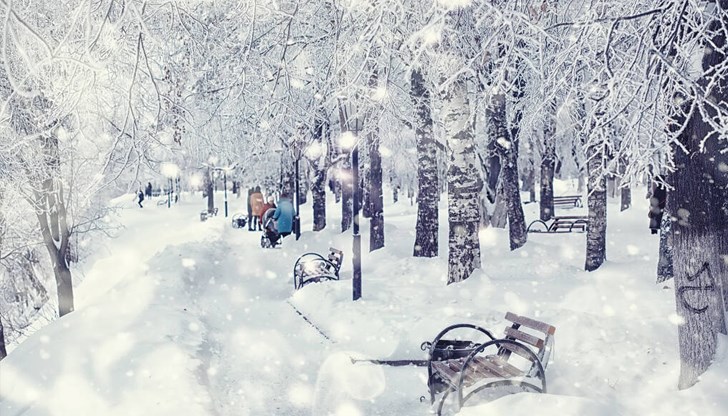 Метеоролозите очакват до 61 сантиметра сняг в Ню Йорк Метеоролозите очакват до 61 сантиметра сняг в Ню Йорк