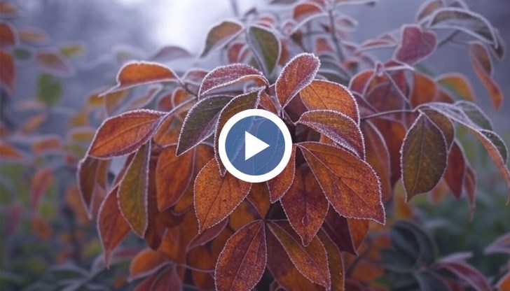 Към 8 - 10 февруари има вероятност за застудяване