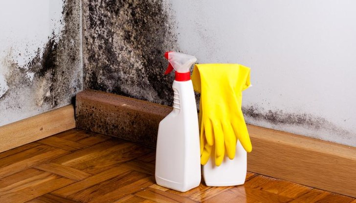 Спорите в дома ни застрашават здравето Спорите в дома ни застрашават здравето