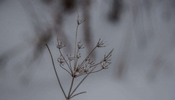 Средиземноморски циклон ще „дръпне” поредна солидна доза студ от север Средиземноморски циклон ще „дръпне” поредна солидна доза студ от север