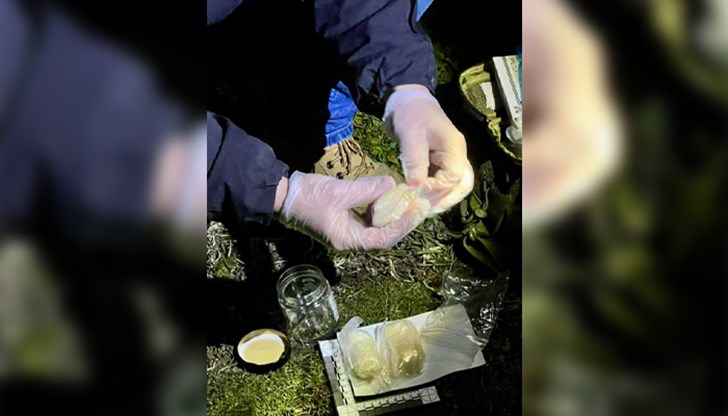 Четирима души на възраст между 30 и 38 години са задържани при операцията