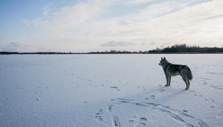През последната седмица на януари температурите скачат до 19 градуса През последната седмица на януари температурите скачат до 19 градуса