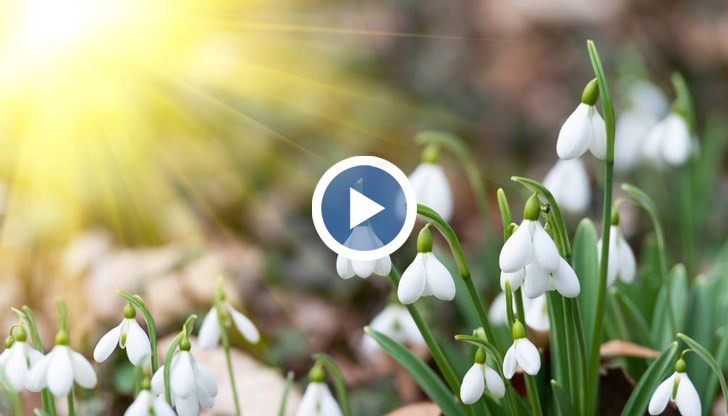 Термометрите ще достигнат до 17 градуса в последната седмица на месеца