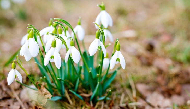 Термометрите ще достигнат до 17 градуса в четвъртък Термометрите ще достигнат до 17 градуса в четвъртък