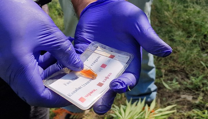 Полевият тест на 45-годишен русенец е отчел наличие на канабис, метамфетамин и амфетамин Полевият тест на 45-годишен русенец е отчел наличие на канабис, метамфетамин и амфетамин