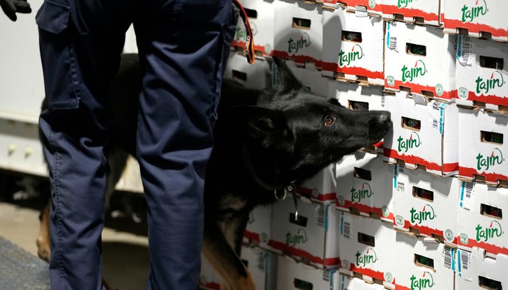 Ангел Боянов: Шенген улеснява трафика на наркотици