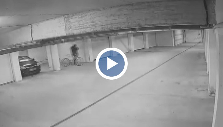 Собственик обяви награда за информация за извършителя