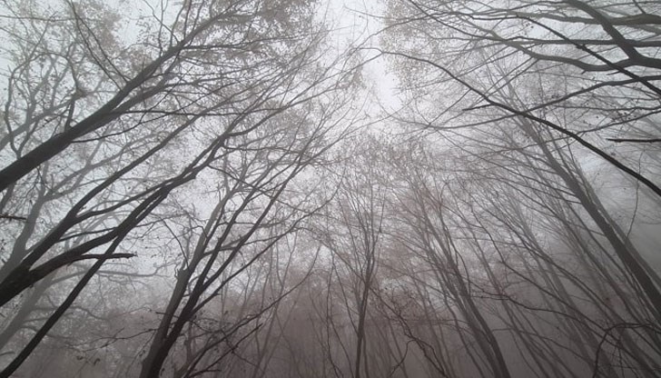 Мъгла сковава равнините, в планините грее слънце Мъгла сковава равнините, в планините грее слънце