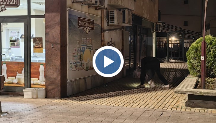 По първоначална информация мъжът е скочил от шестия етаж на сграда