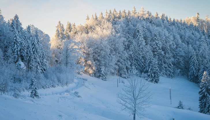 Температурите падат с 10 градуса идната седмица Температурите падат с 10 градуса идната седмица