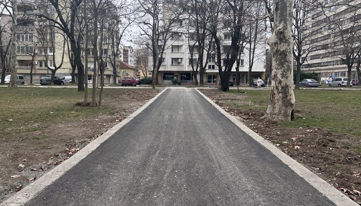 Активен ремонт на алейната мрежа в най-големия парк на Русе
