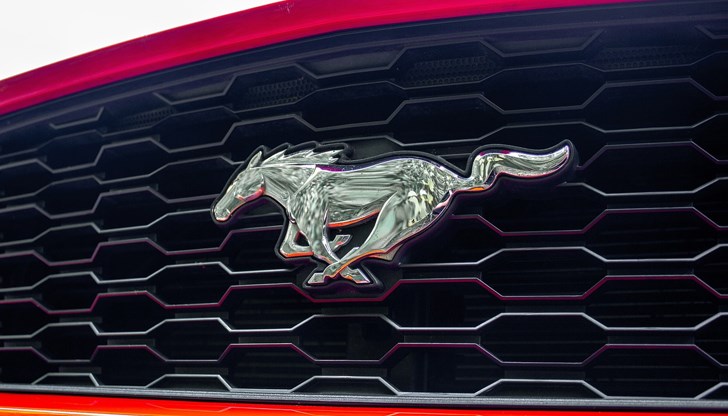 Колата е обявена за издирване в НШИС и в Интерпол Колата е обявена за издирване в НШИС и в Интерпол