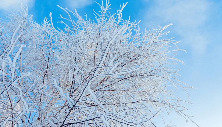 Дунавската равнина очаква екстремен студ Дунавската равнина очаква екстремен студ