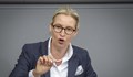Алис Вайдел: "Алтернатива за Германия" е готова за преговори с християндемократите