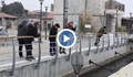 Масов пасаж на риба превзе пристанището на Несебър