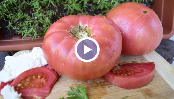 От фермата до рафта: Как един домат се оскъпява четири пъти докато стигне до трапезата ни