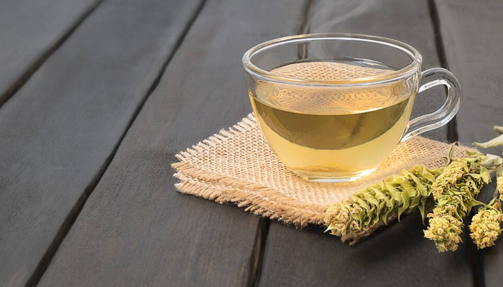 Екоминистерството въвежда рестрикции за билкосъбиране