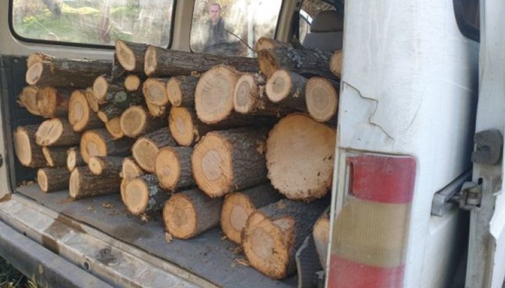39-годишен мъж е превозвал дърва за огрев без необходимите документи