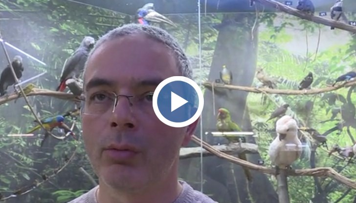 Огнян Тодоров: Най-вероятно средствата са изплатени през фонд „Култура" за други дейности