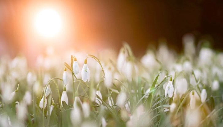 Вижте месечния хороскоп за всяка зодия Вижте месечния хороскоп за всяка зодия