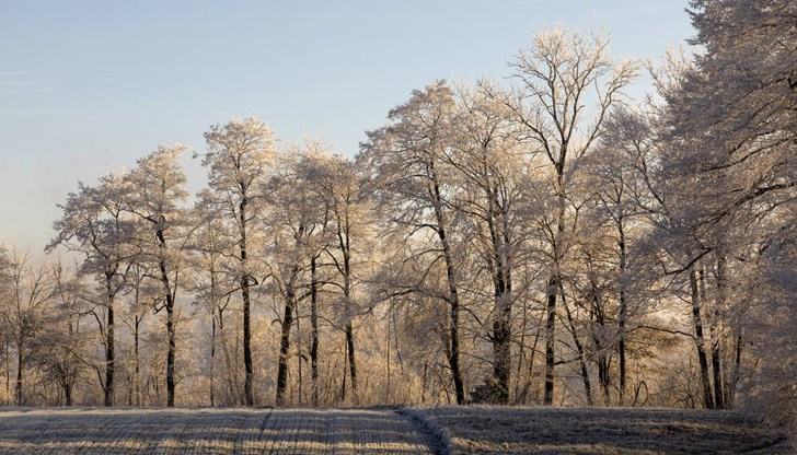 От следващия петък до неделя термометрите ще отчетат около и над 15 градуса