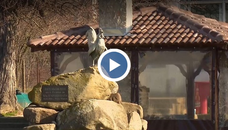 2 февруари е Ден на мъжката рожба