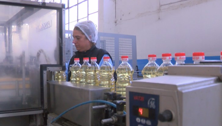 Недостиг на слънчоглед удари производството на олио у нас Недостиг на слънчоглед удари производството на олио у нас