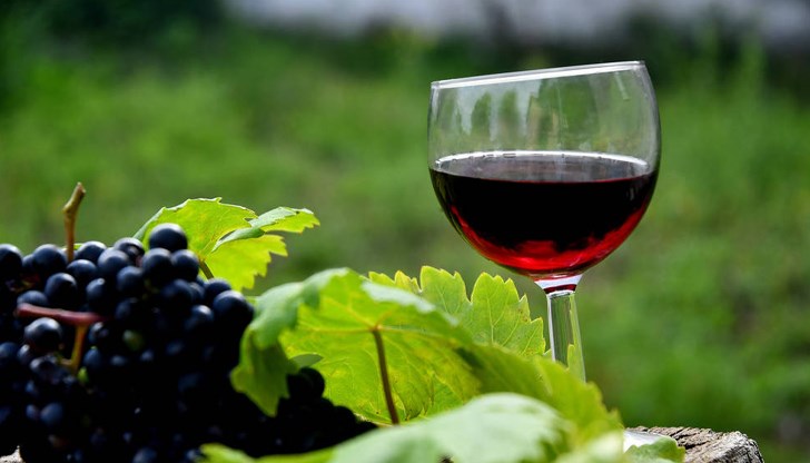 Конкурсът "Вино и любов" ще се проведе в експо центъра на Уста Колю Фичето Конкурсът "Вино и любов" ще се проведе в експо центъра на Уста Колю Фичето