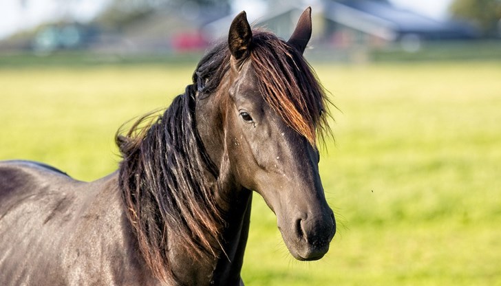 Подсъдимият призна вината си в съда