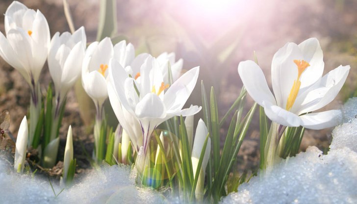 В края на първата десетдневка на новия месец термометрите ще чукнат 20 градуса