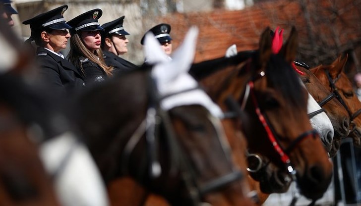 Цената на храната за четириногите служители е близо 10 000 лева