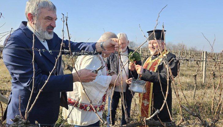 Областният управител даде старт на лозарския празник