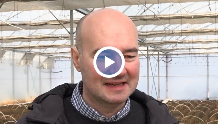 Борил Николов: Българските зеленчуци стават бутикова стока