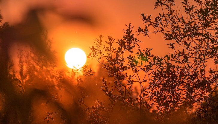 Март и април ще бъдат по-топли от обичайното Март и април ще бъдат по-топли от обичайното