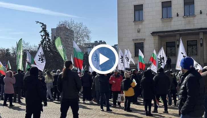 Партията организира демонстрация срещу въвеждането на еврото