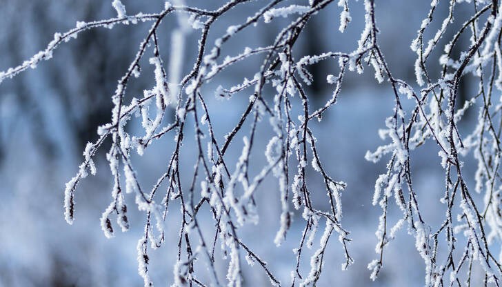 Метеоролозите прогнозират екстремно ниски температури