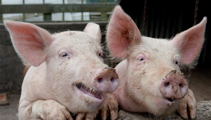 Въведоха предпазна зона и зона за наблюдение около Чидряг